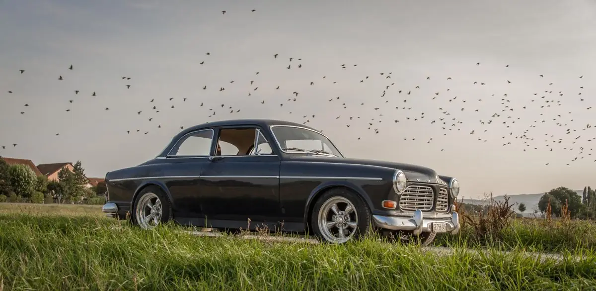 Svart Volvo Amazon parkerad på en äng